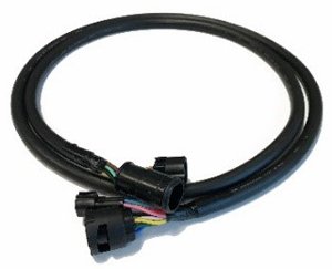 Tohatsu Maine Engine Harness 13' 3KY761140M